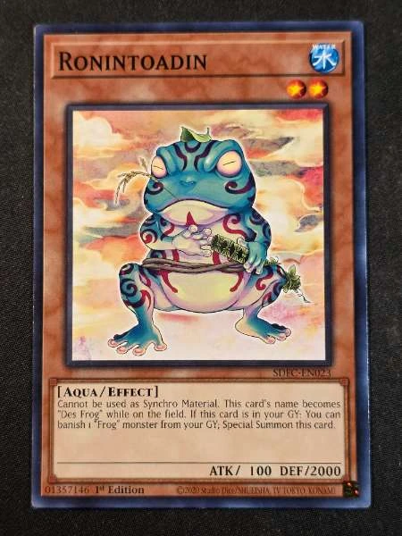 Ronintoadin - Structure Deck: Freezing Chains #SDFC-EN023