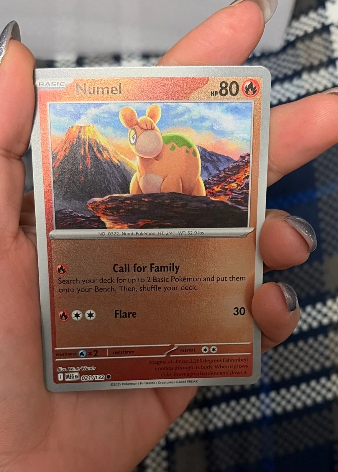 Numel 021/132 Reverse Holo - ME01: Mega Evolution - NM #021/132