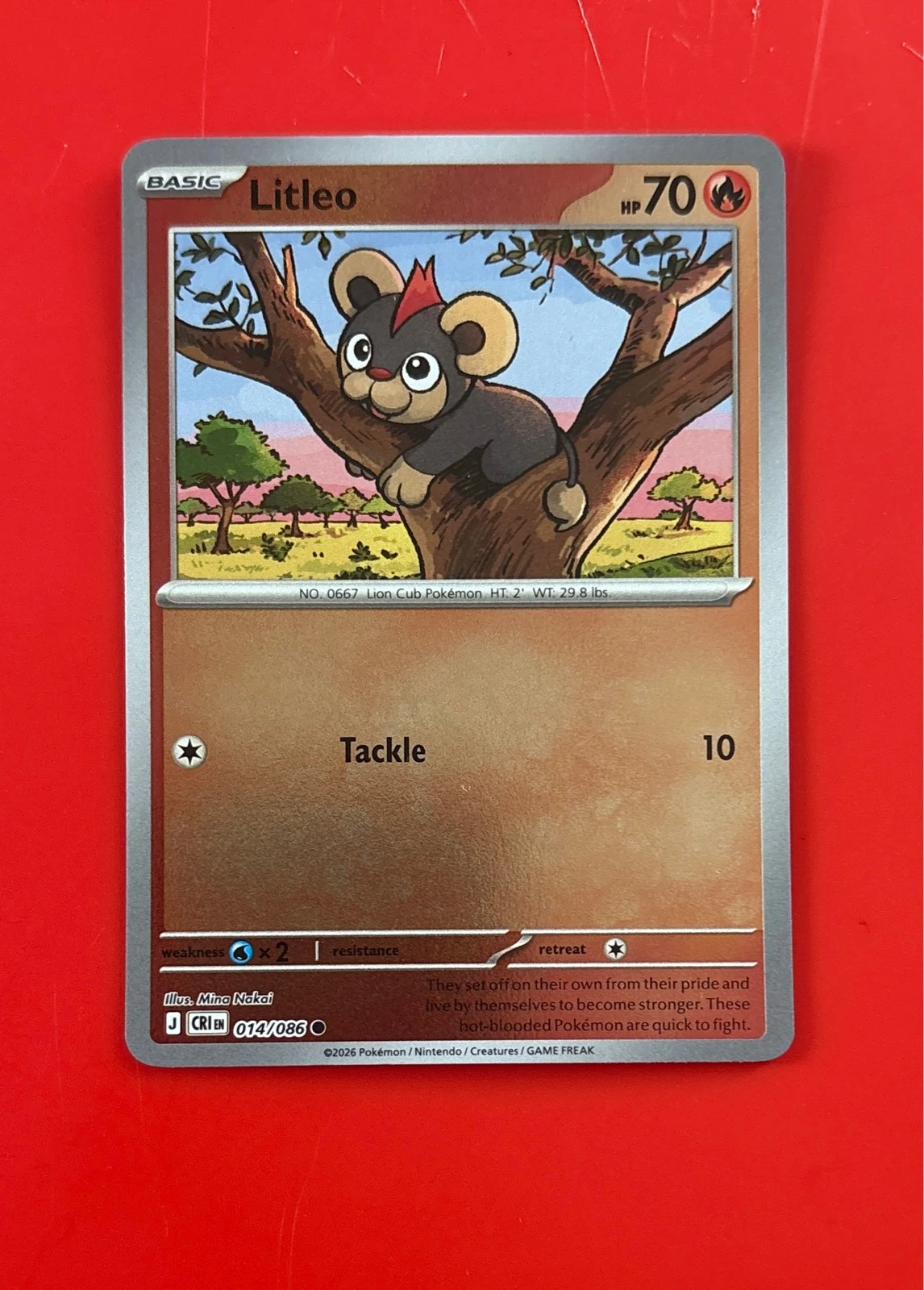 Litleo - Chaos Rising Mega Evolution #014/086