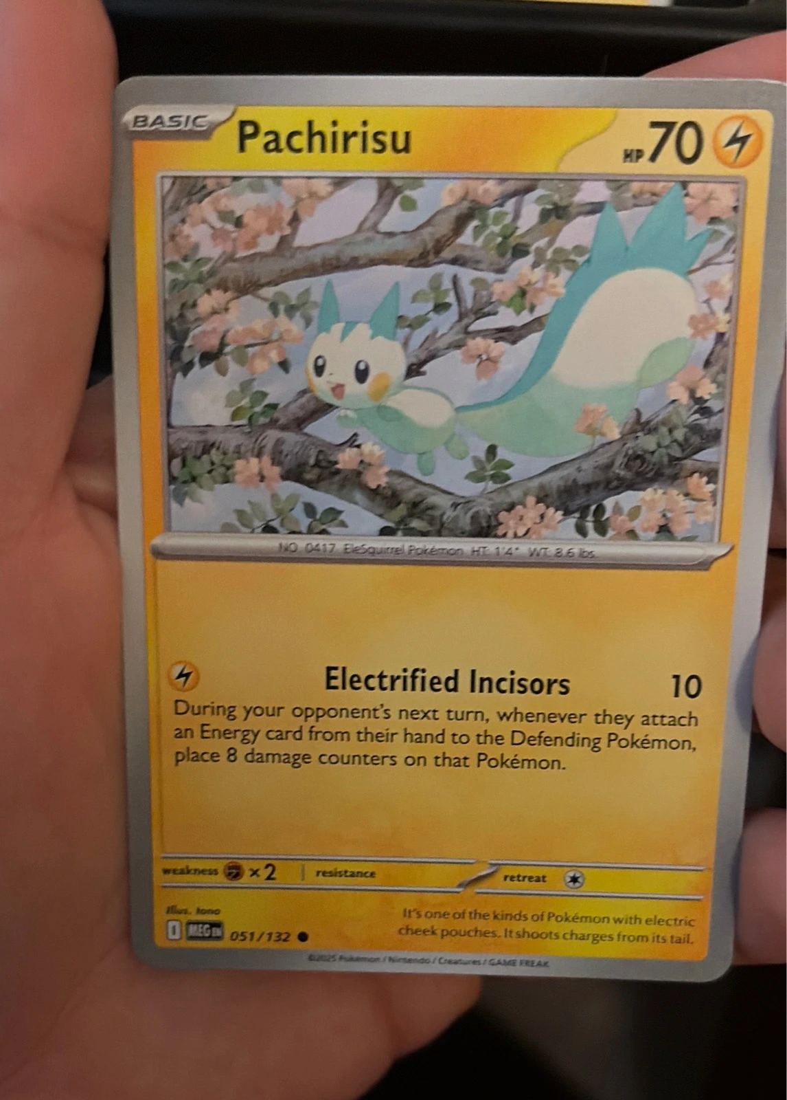 Pachirisu 051/132 Common Mega Evolution Pokemon Near Mint #051/132