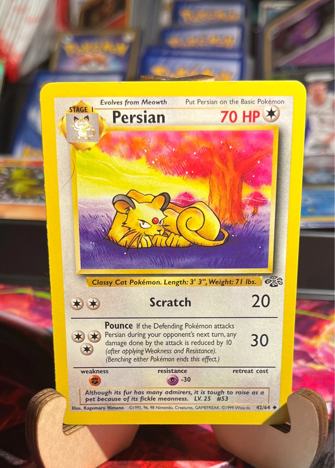 Persian - Jungle #42/64