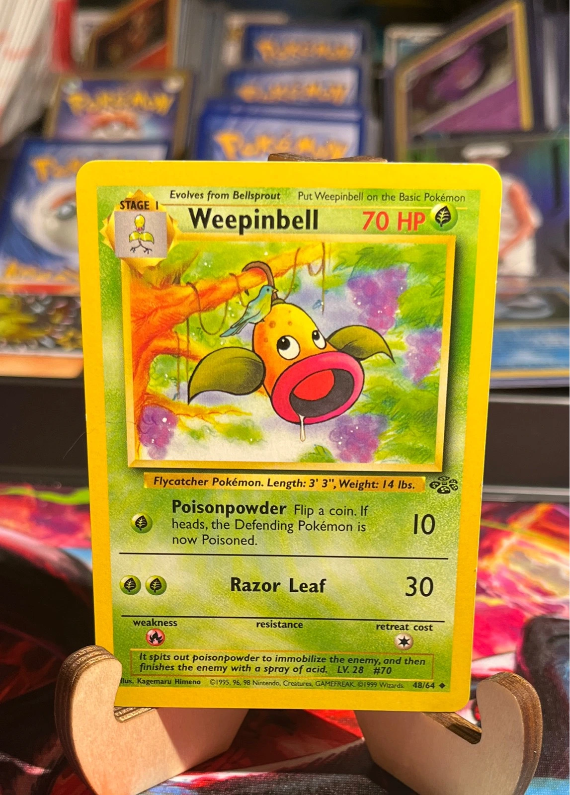 Weepinbell - Jungle #48/64