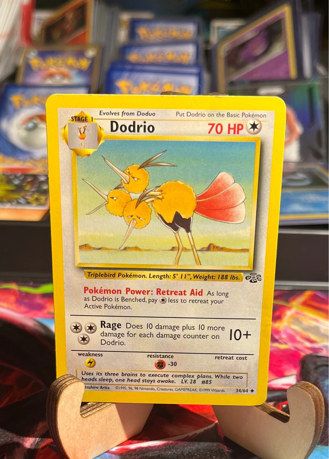 Dodrio - Jungle #34/64