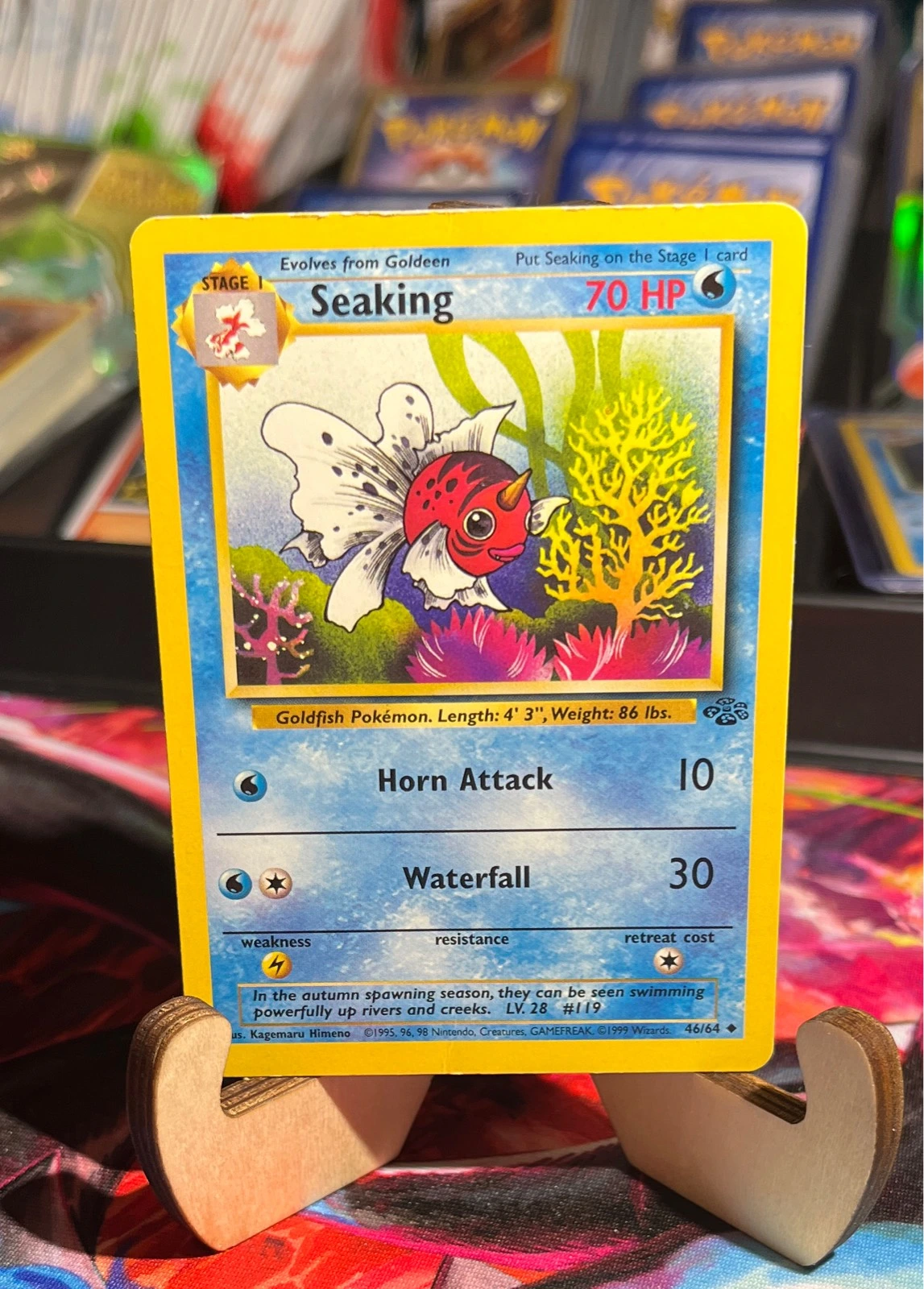 Seaking - Jungle #46/64