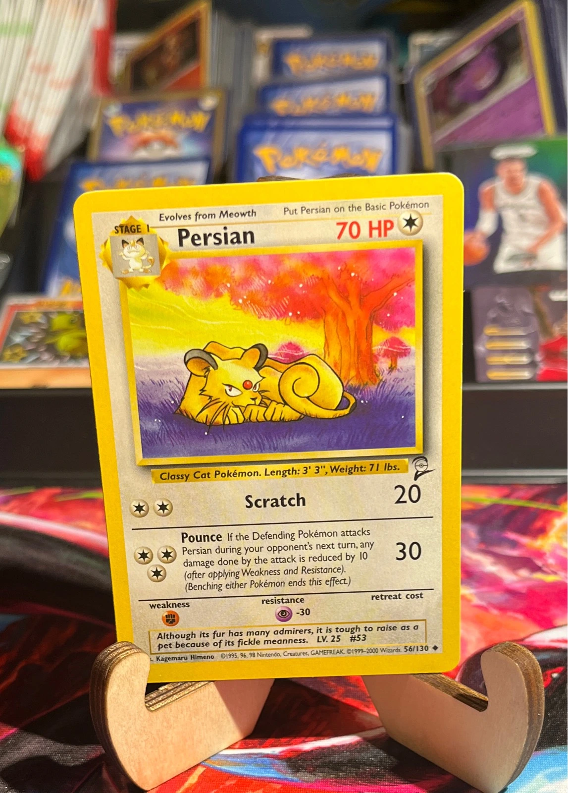 Persian - Jungle #56/130