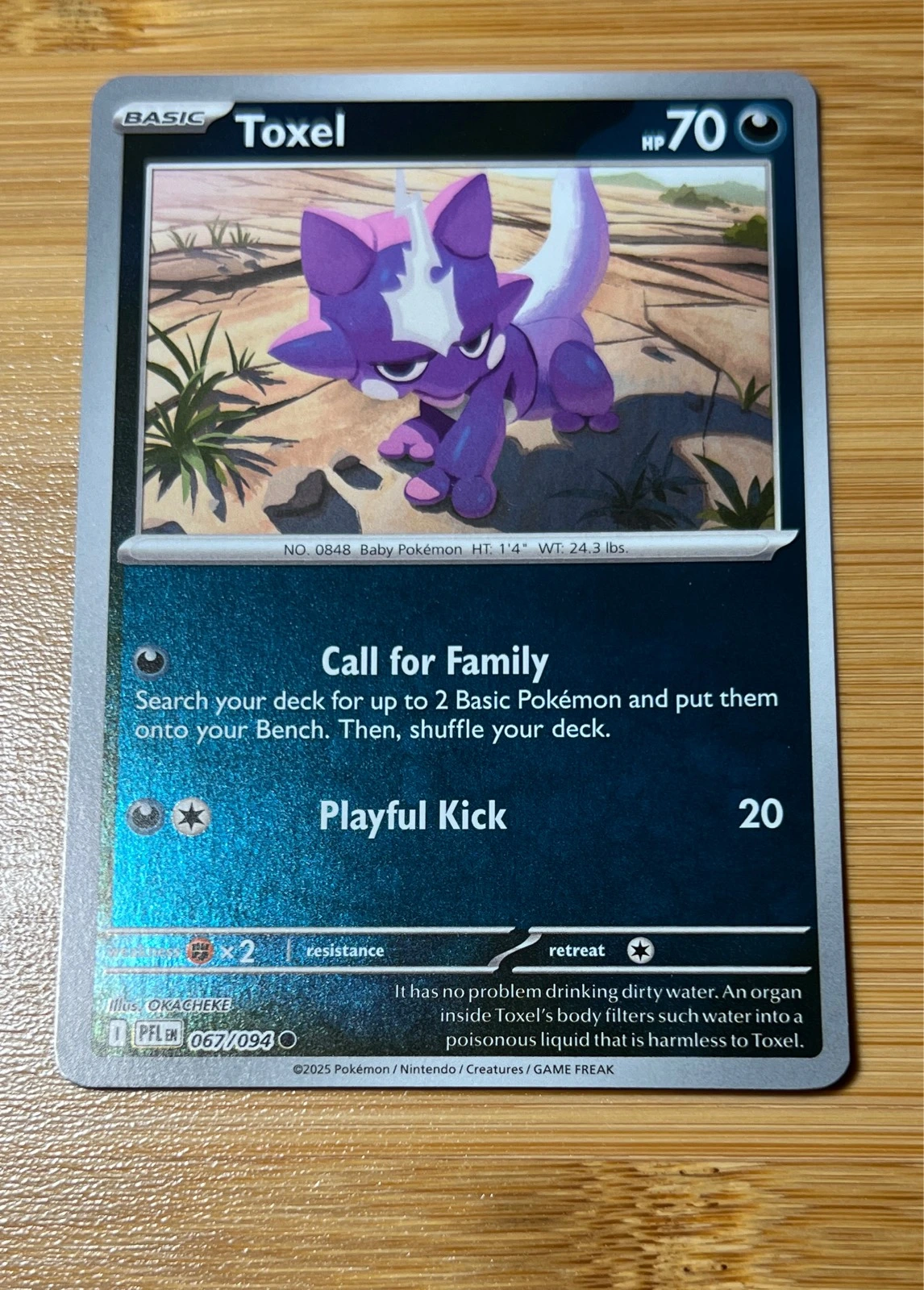 Toxel - Pokémon Phantasmal Flames #067/094