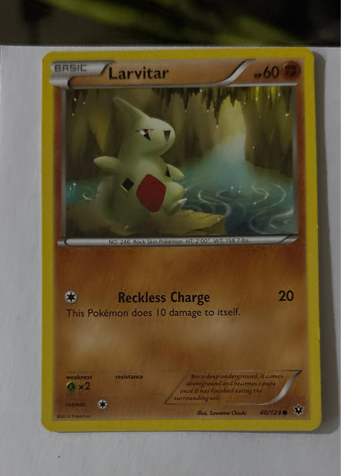 Larvitar - Fates Collide #40/124
