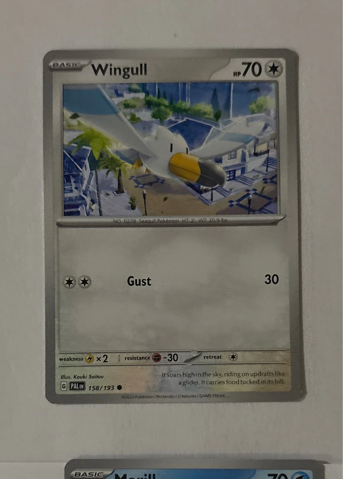 Wingull - Paldea Evolved #158/193
