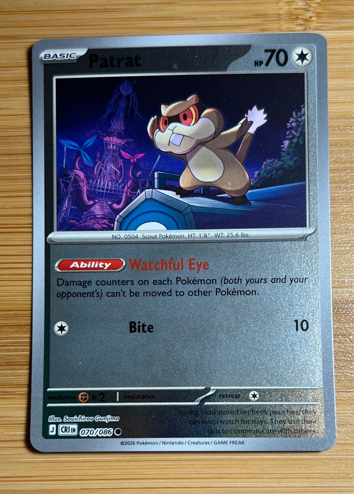 Patrat - Pokémon Chaos Rising #070/086
