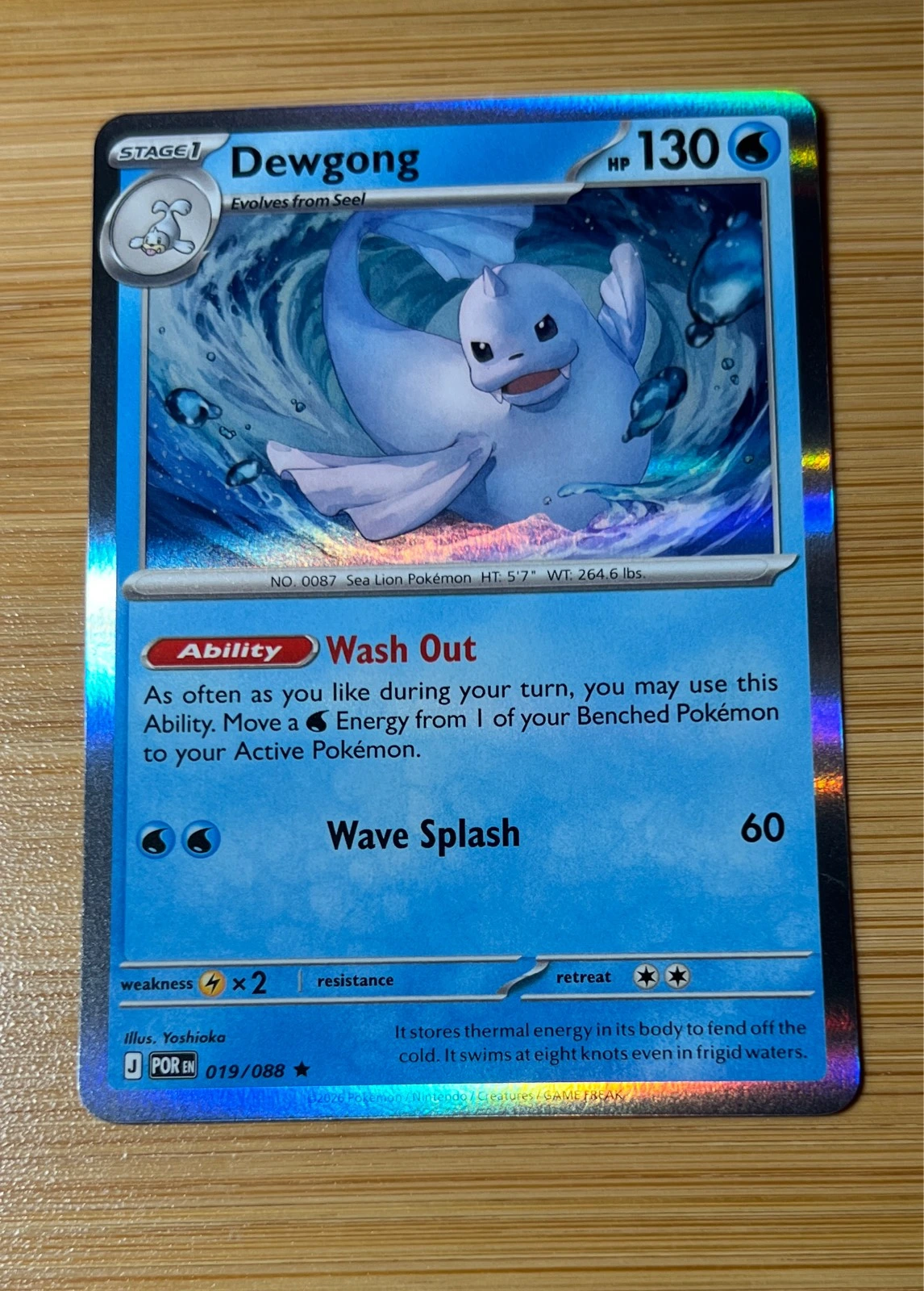 Dewgong - Pokémon Perfect Order #019/088