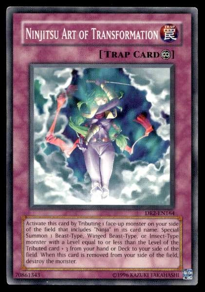 Ninjitsu Art of Transformation - Dark Revelation Volume 2 #DR2-EN164