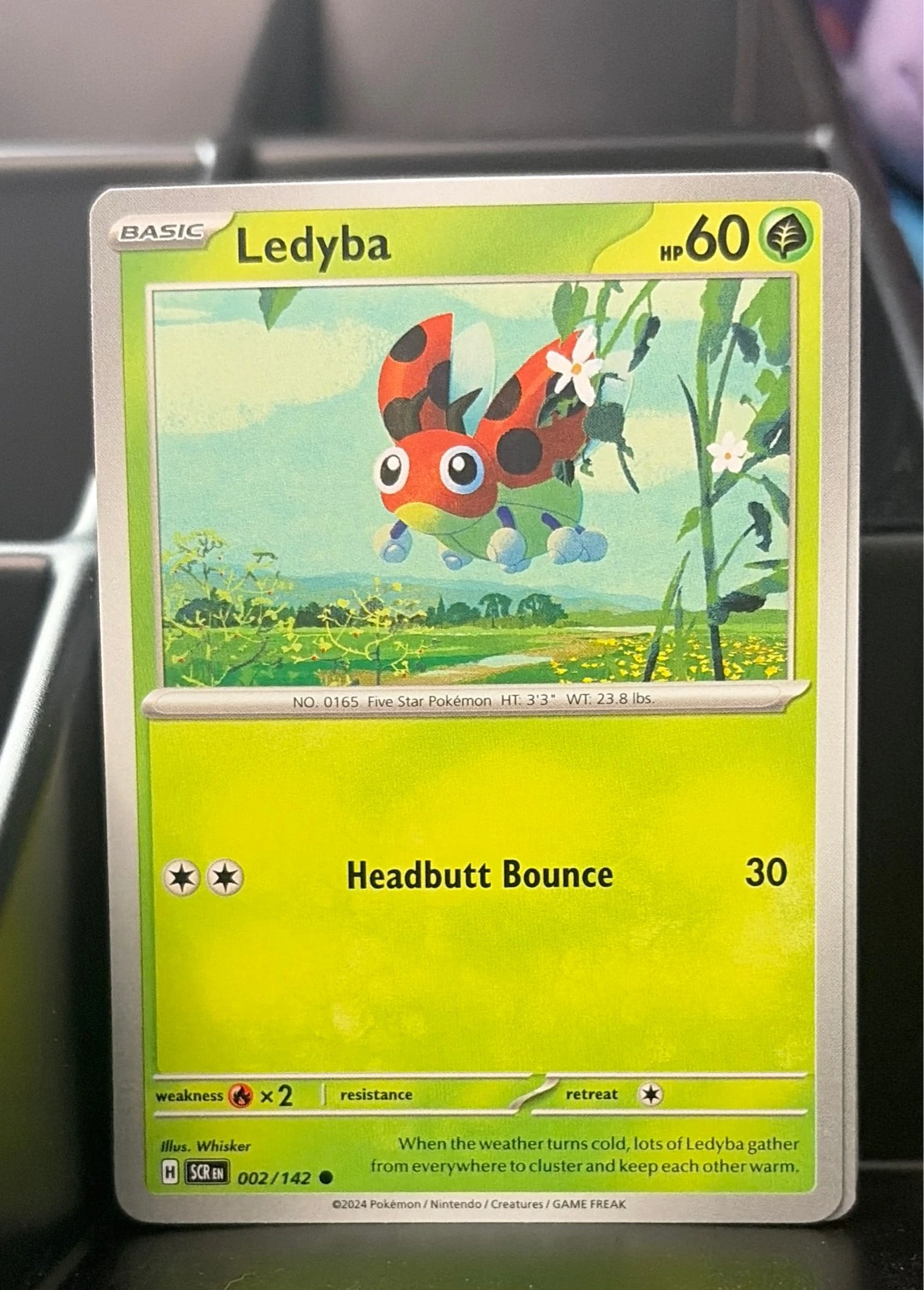 Ledyba Common SV07: Stellar Crown 002/142 NM #002/142