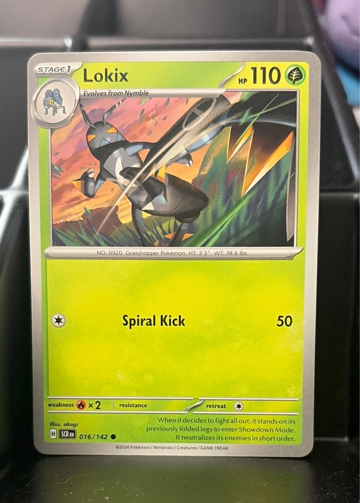Lokix Common SV07: Stellar Crown 016/142 NM #016/142