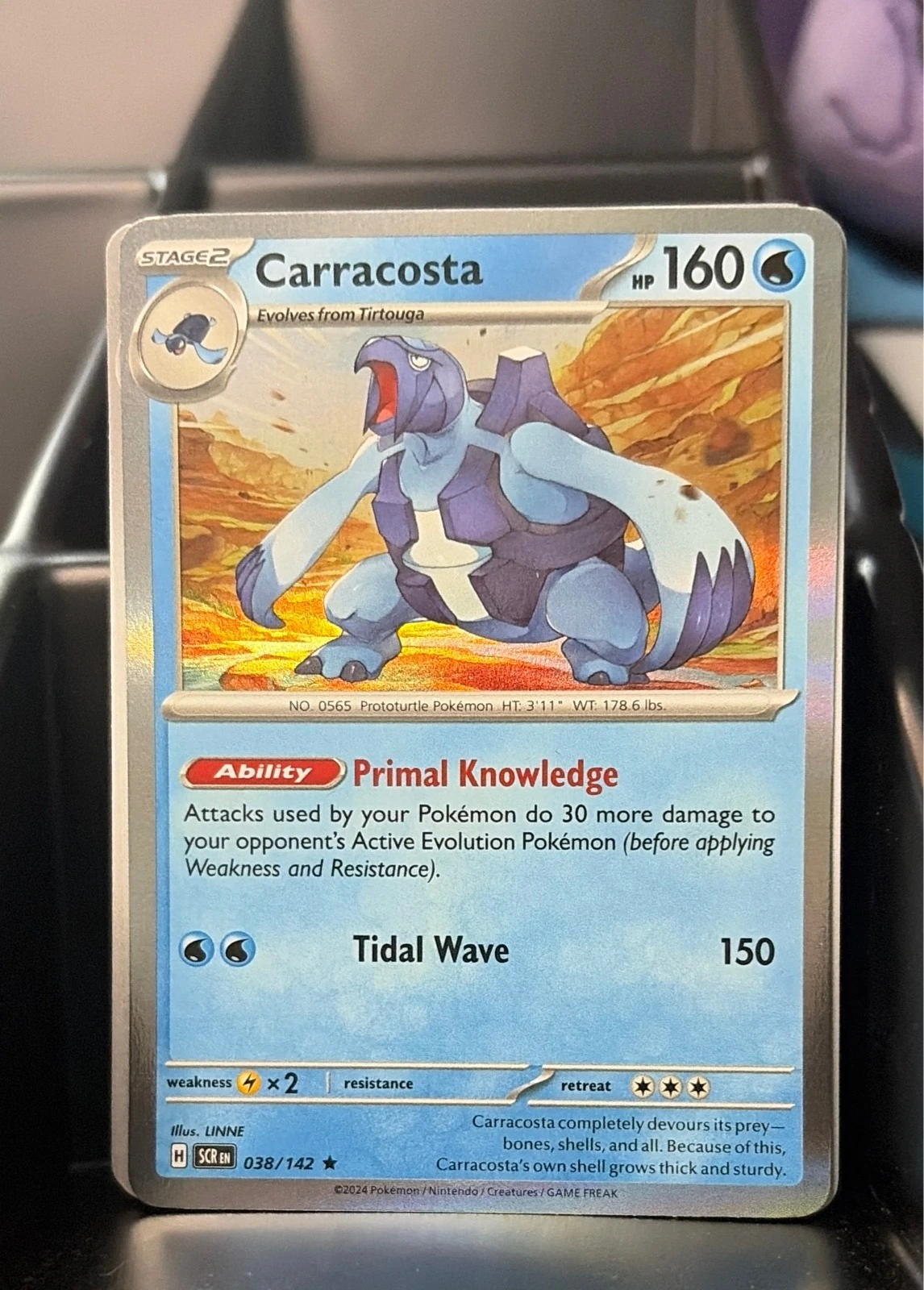 Carracosta 038/142 Sv07: Stellar Crown Holo #038/142