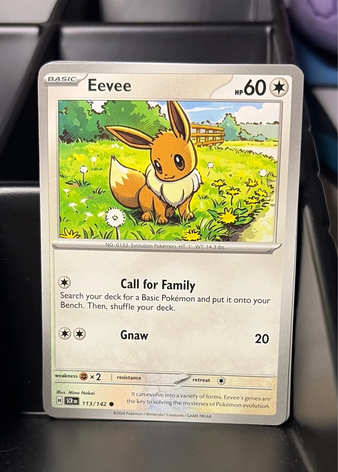 Eevee - Stellar Crown #113/142