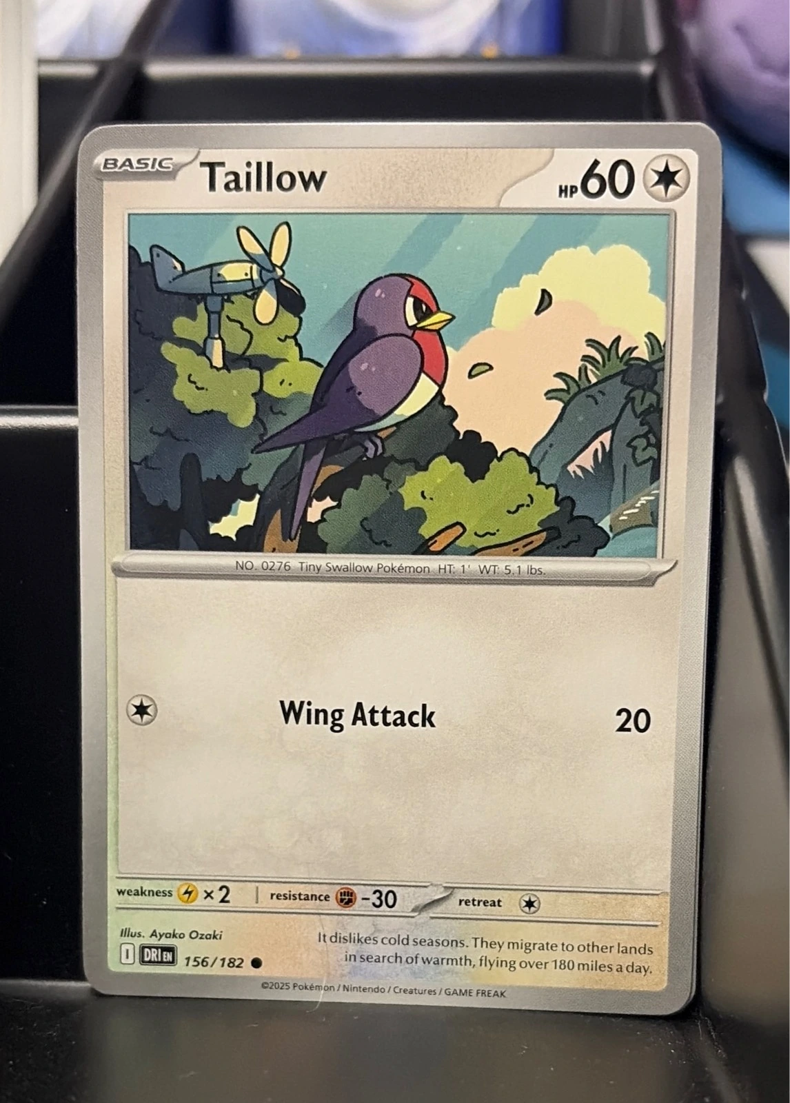 Taillow - Destined Rivals #156/182