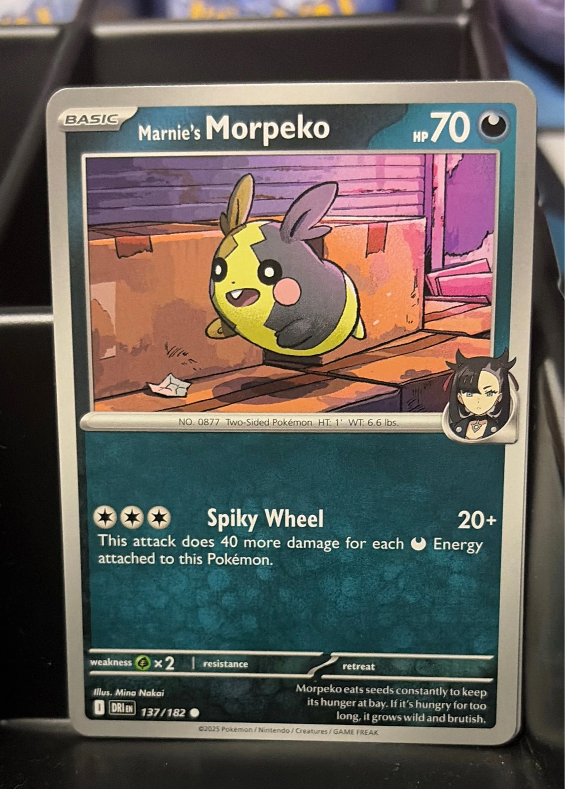 Marnie's Morpeko - Destined Rivals #137/182