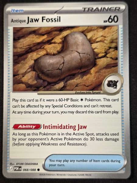 Antique Jaw Fossil - Perfect Order #068/088