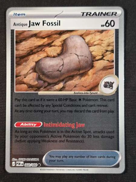 Antique Jaw Fossil - Perfect Order #068/088