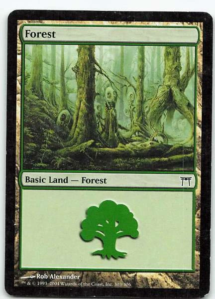 Forest #303/306