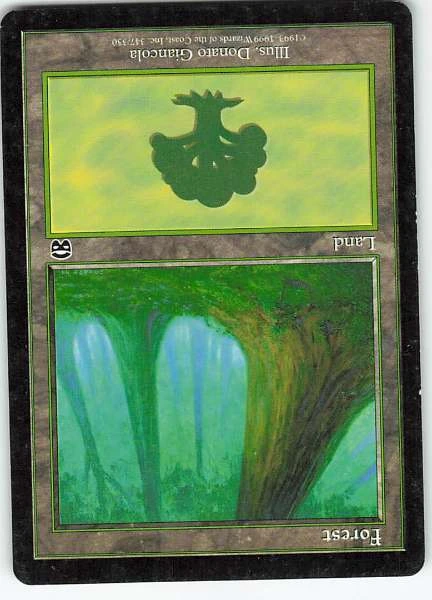 Forest - Urza's Saga #347/350
