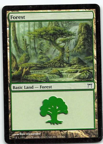 Forest #304/306