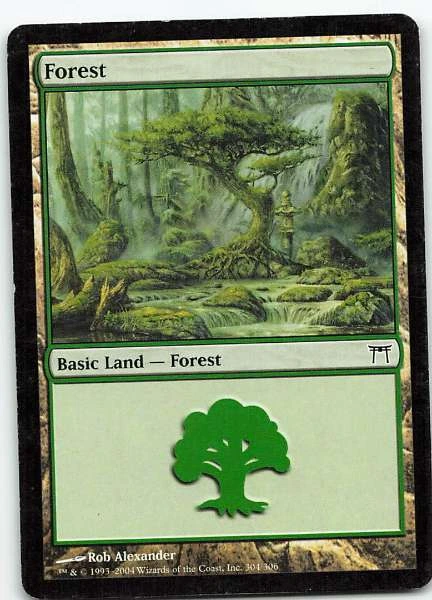 Forest #304/306