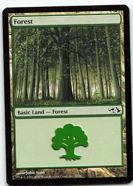 Forest #30/62