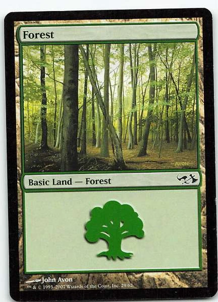 Forest #29/62